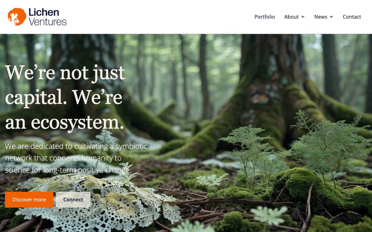 Lichen Ventures website preview