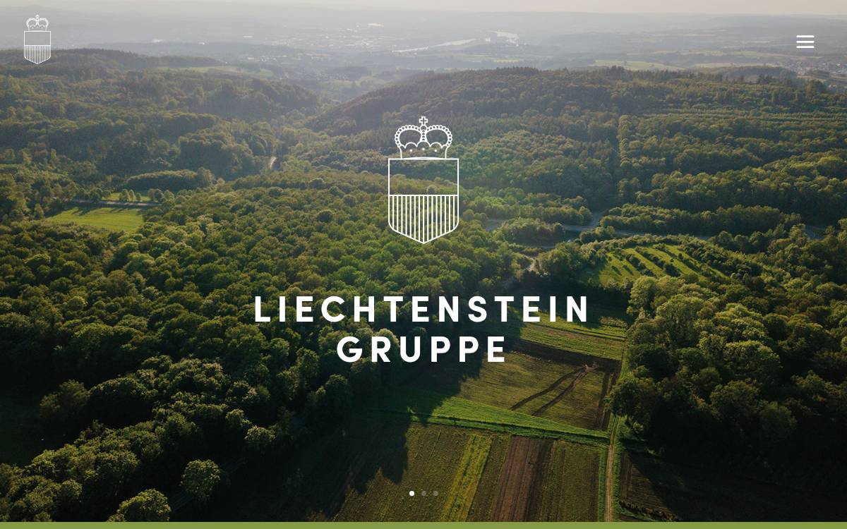 Liechtenstein Group website preview