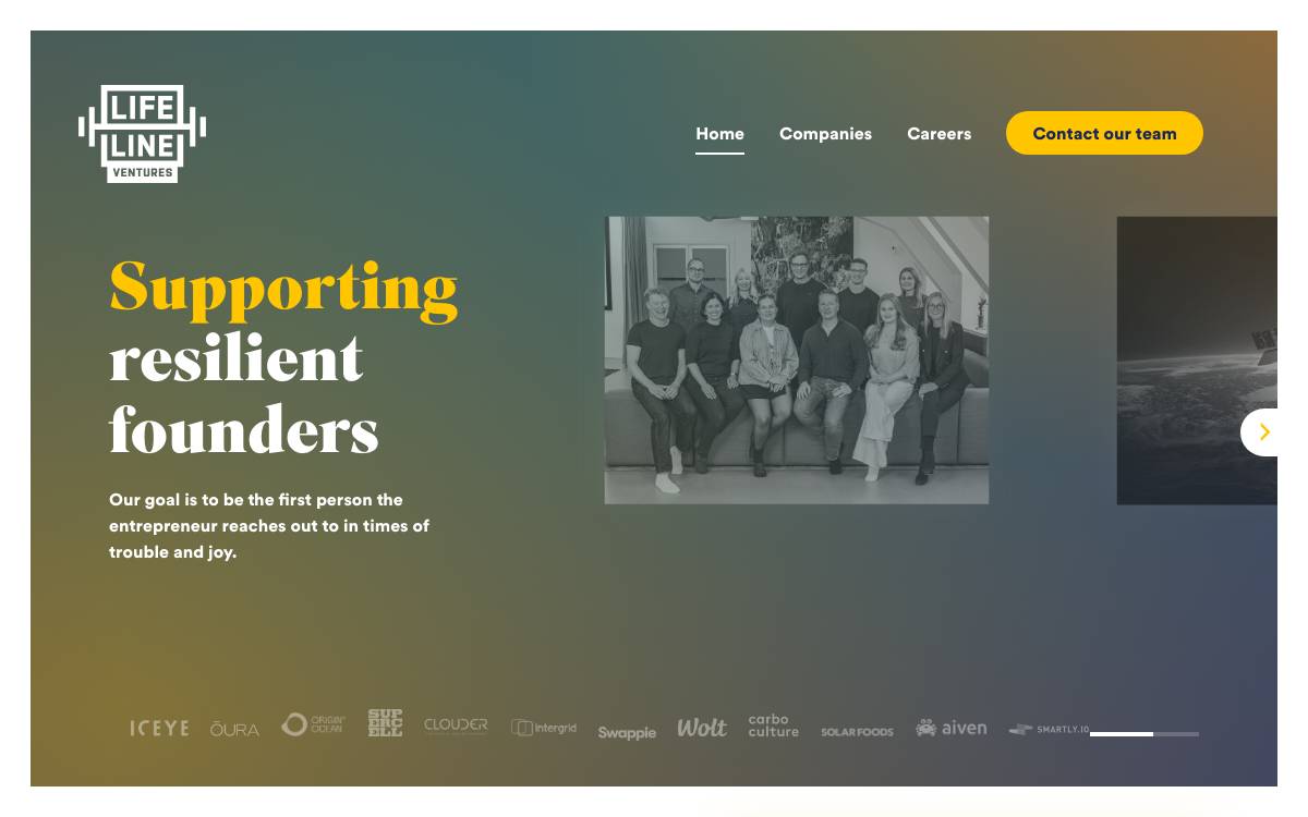 Lifeline Ventures website preview