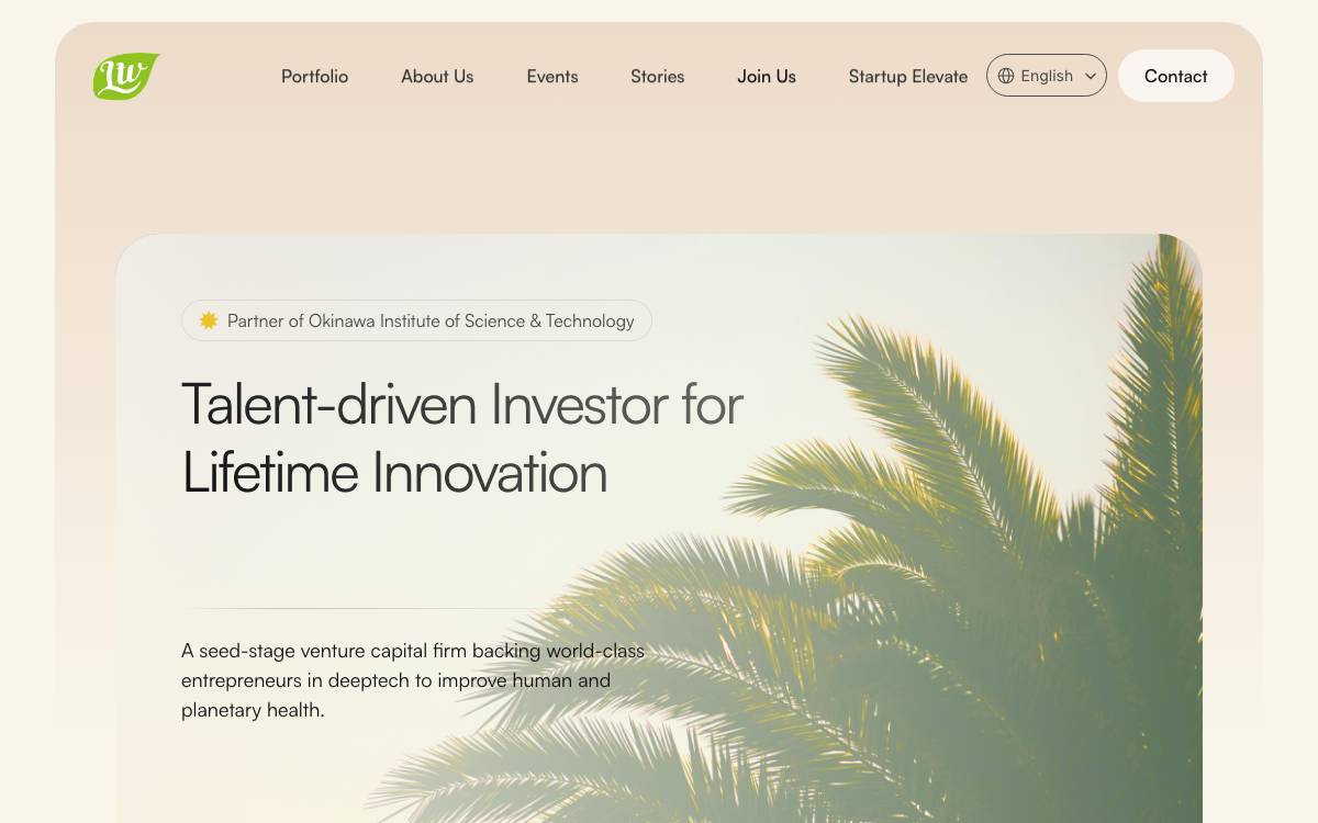 Lifetime Ventures website preview