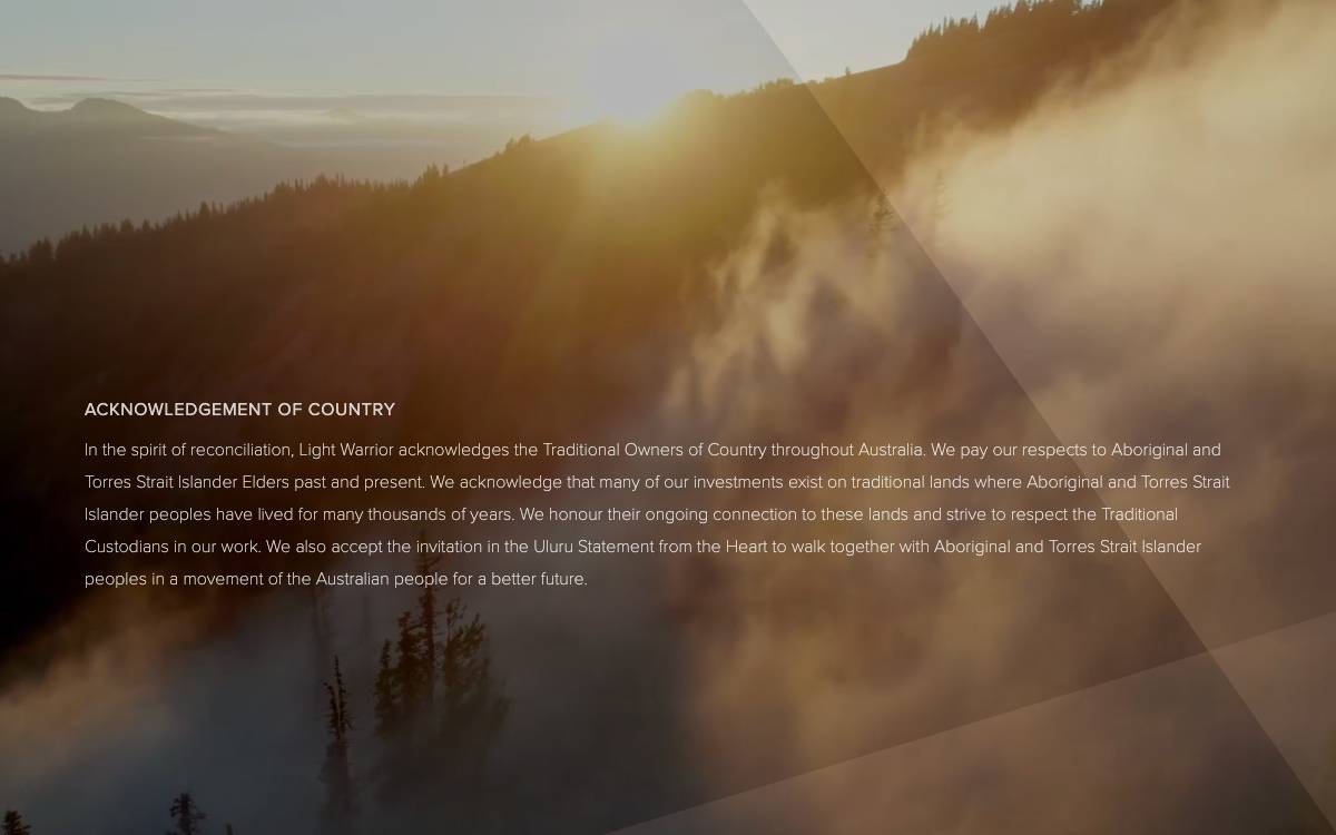 Light Warrior Group website preview