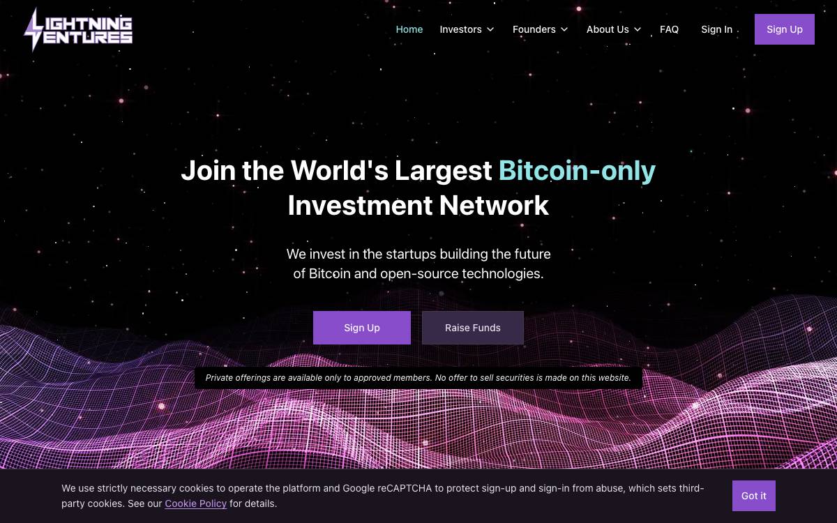 Lightning Ventures website preview