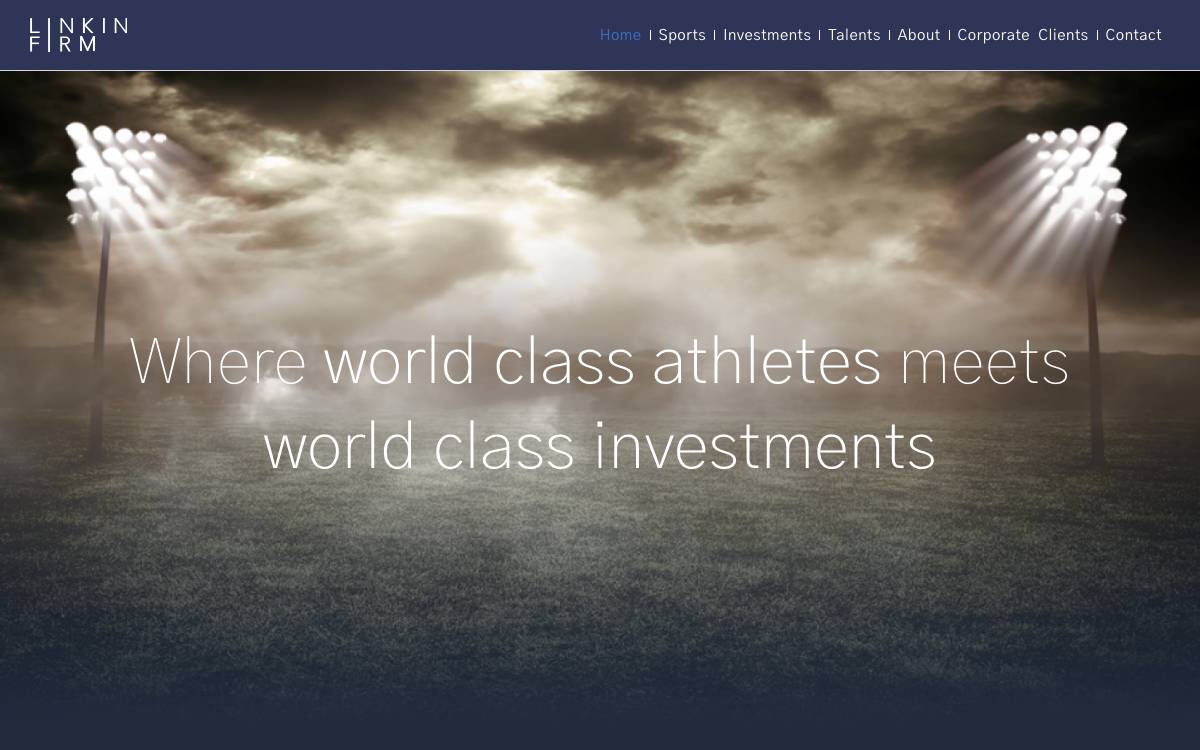 LinkinFirm website preview
