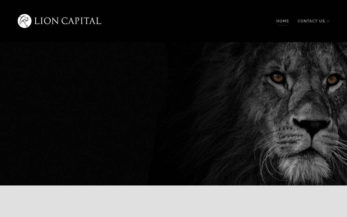 Lion Capital website preview