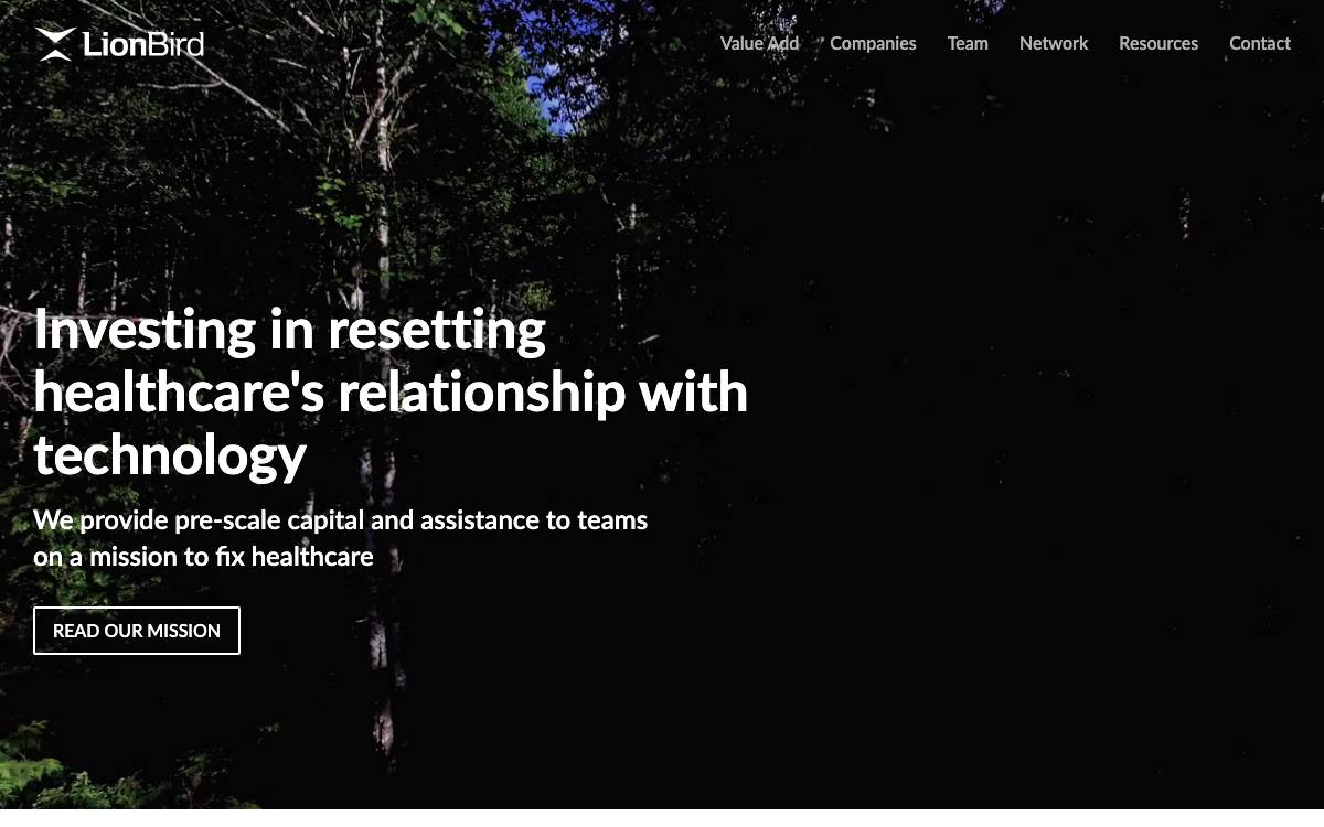 LionBird website preview