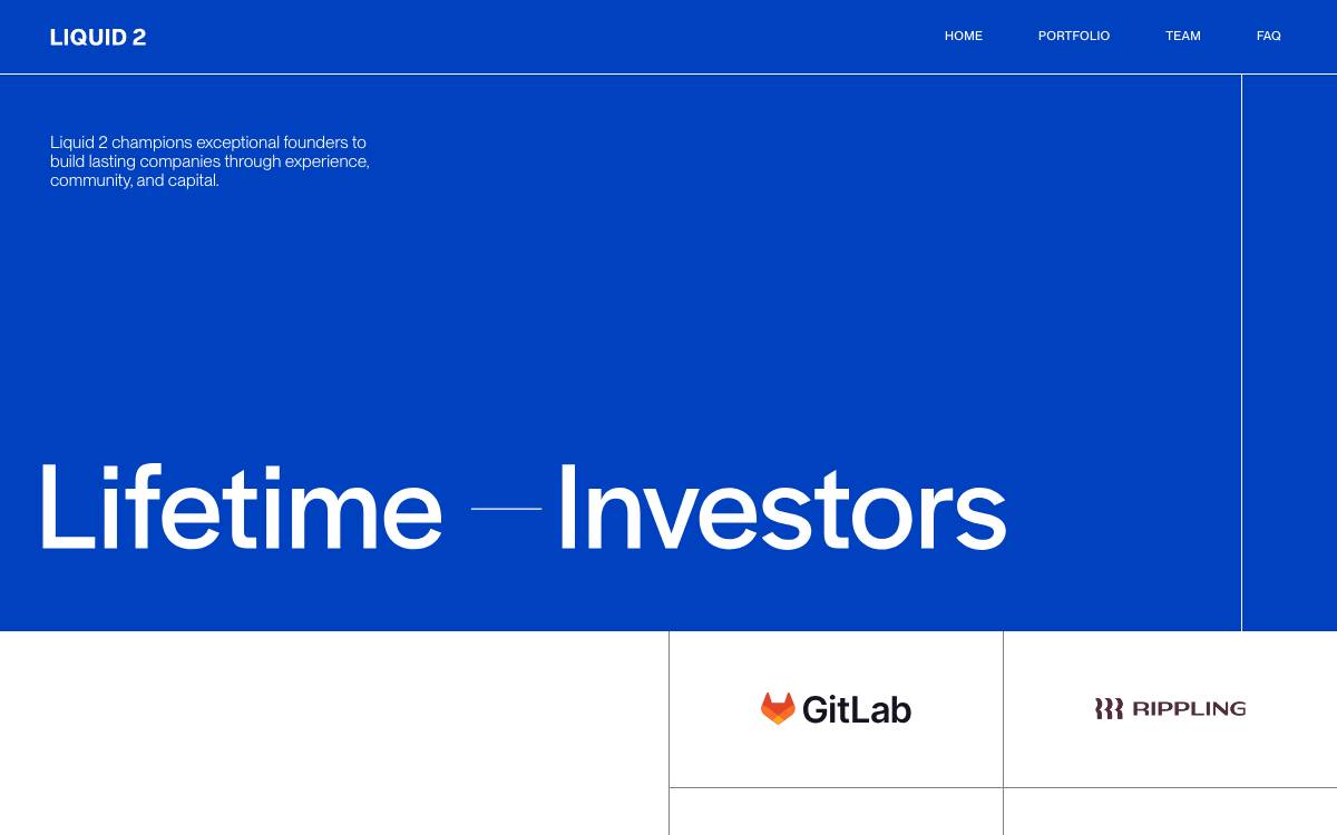 Liquid Ventures website preview