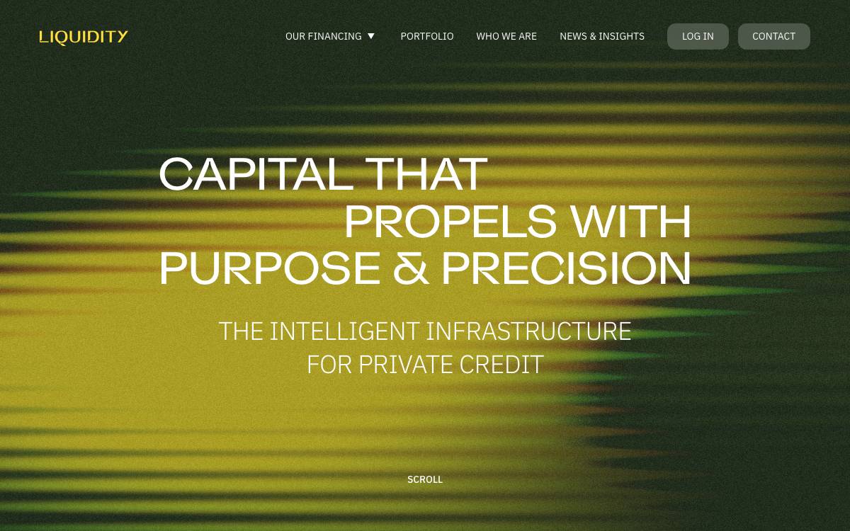 Liquidity Capital website preview