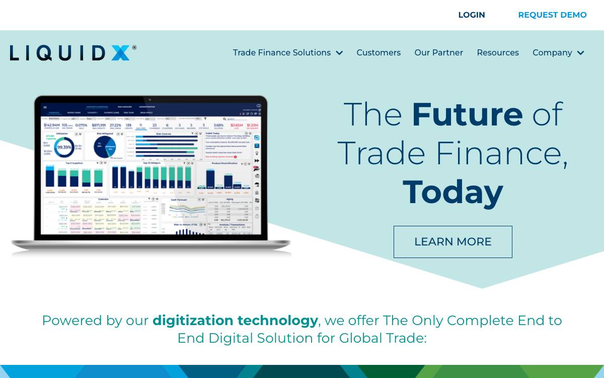 LiquidX website preview