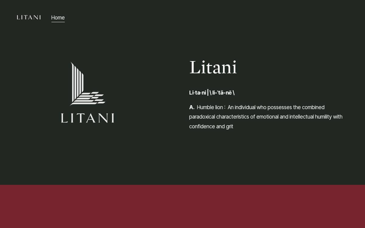 Litani Ventures website preview