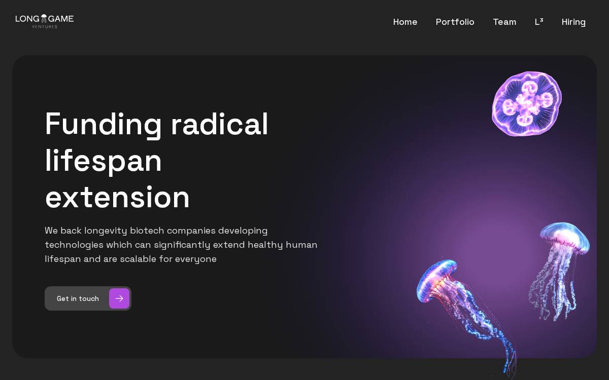 Long Game website preview