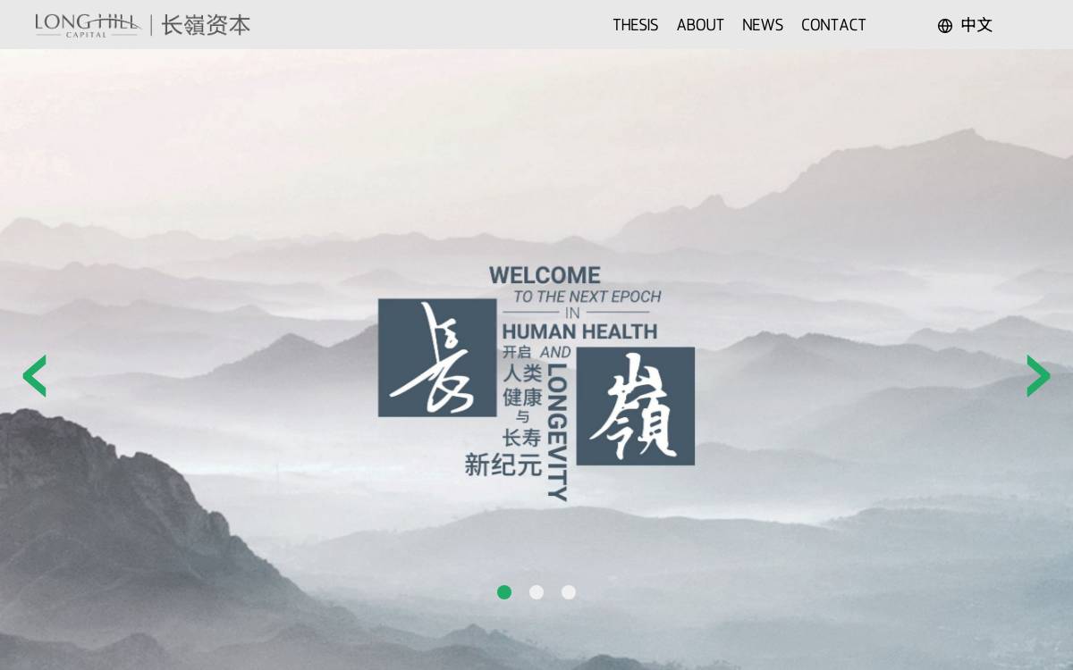 Long Hill Capital website preview