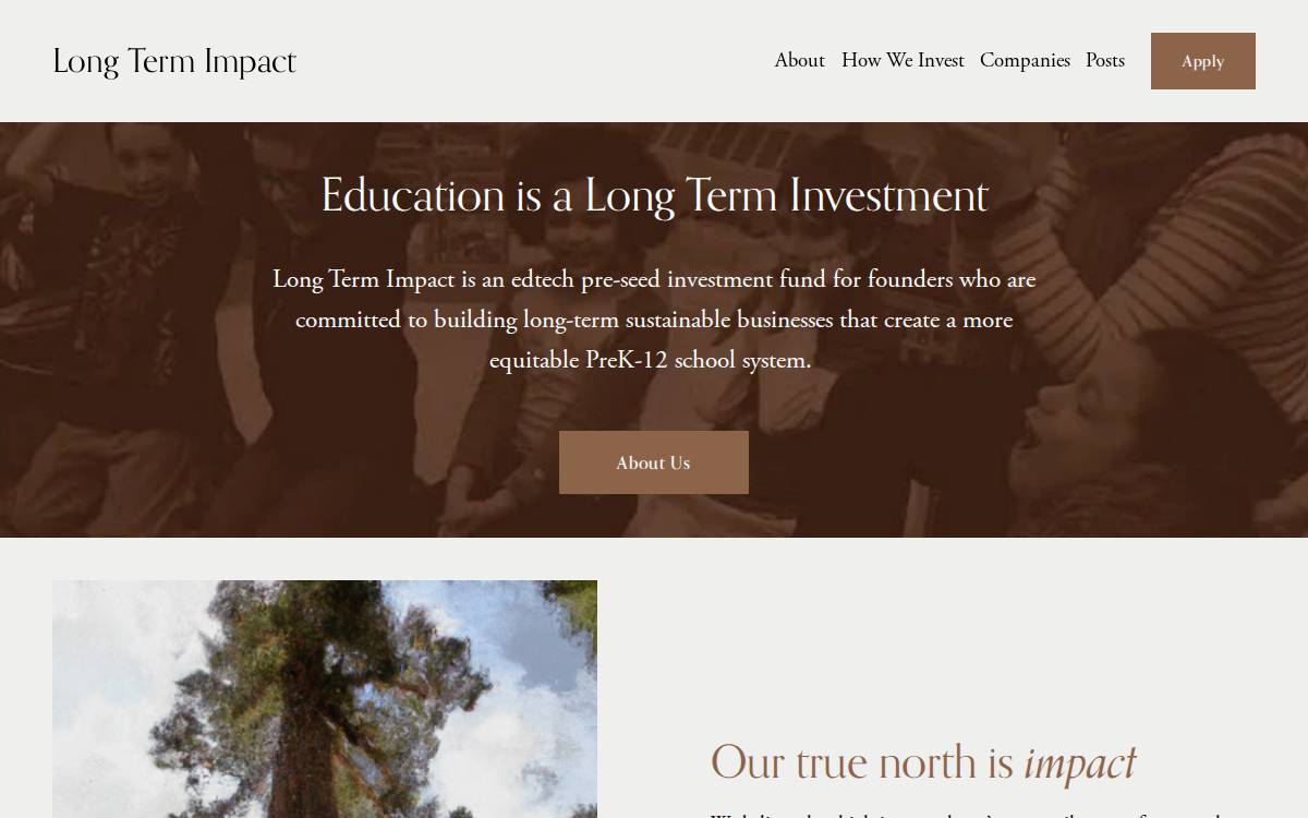 Long Term Impact website preview