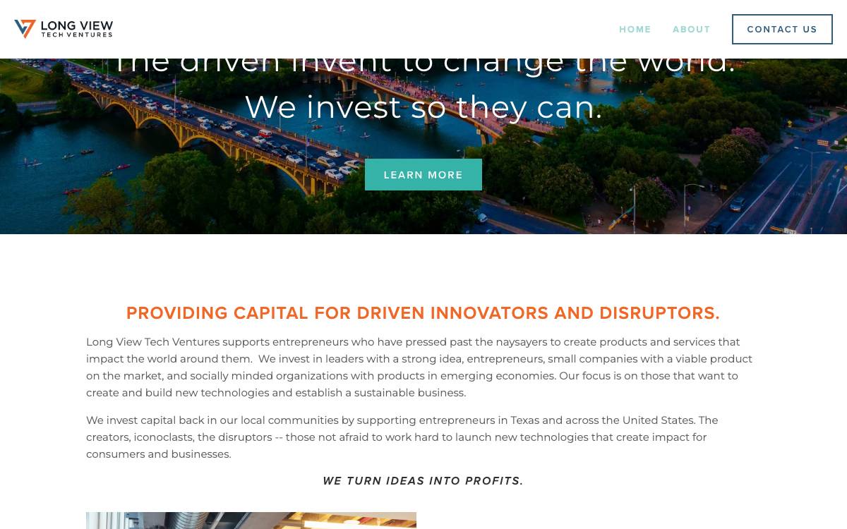 Long View Technology Ventures website preview