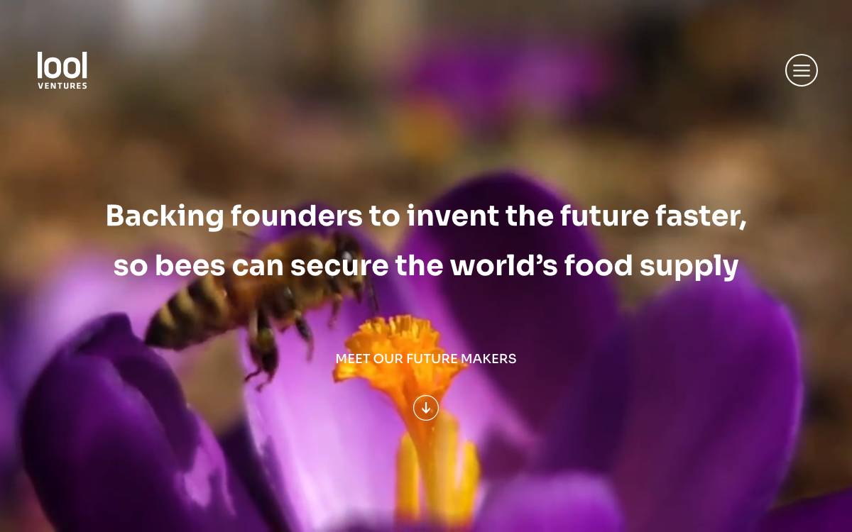 Lool Ventures website preview