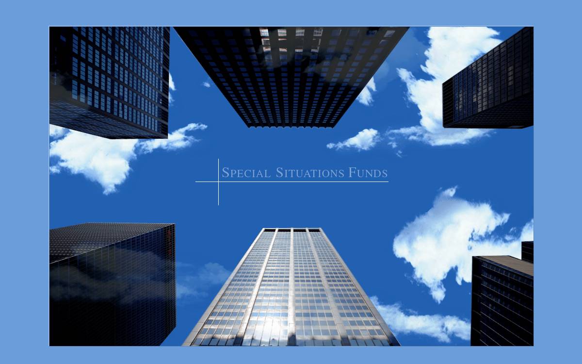 LSI website preview