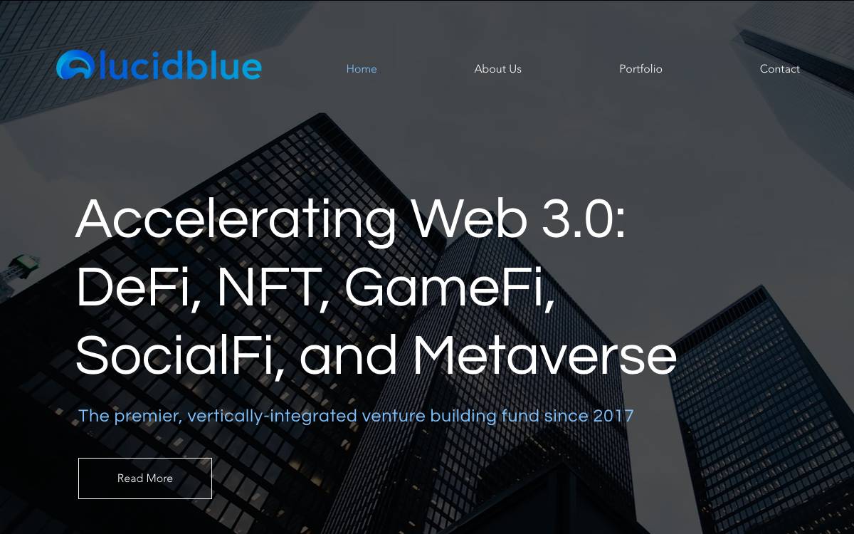 LucidBlue Ventures website preview