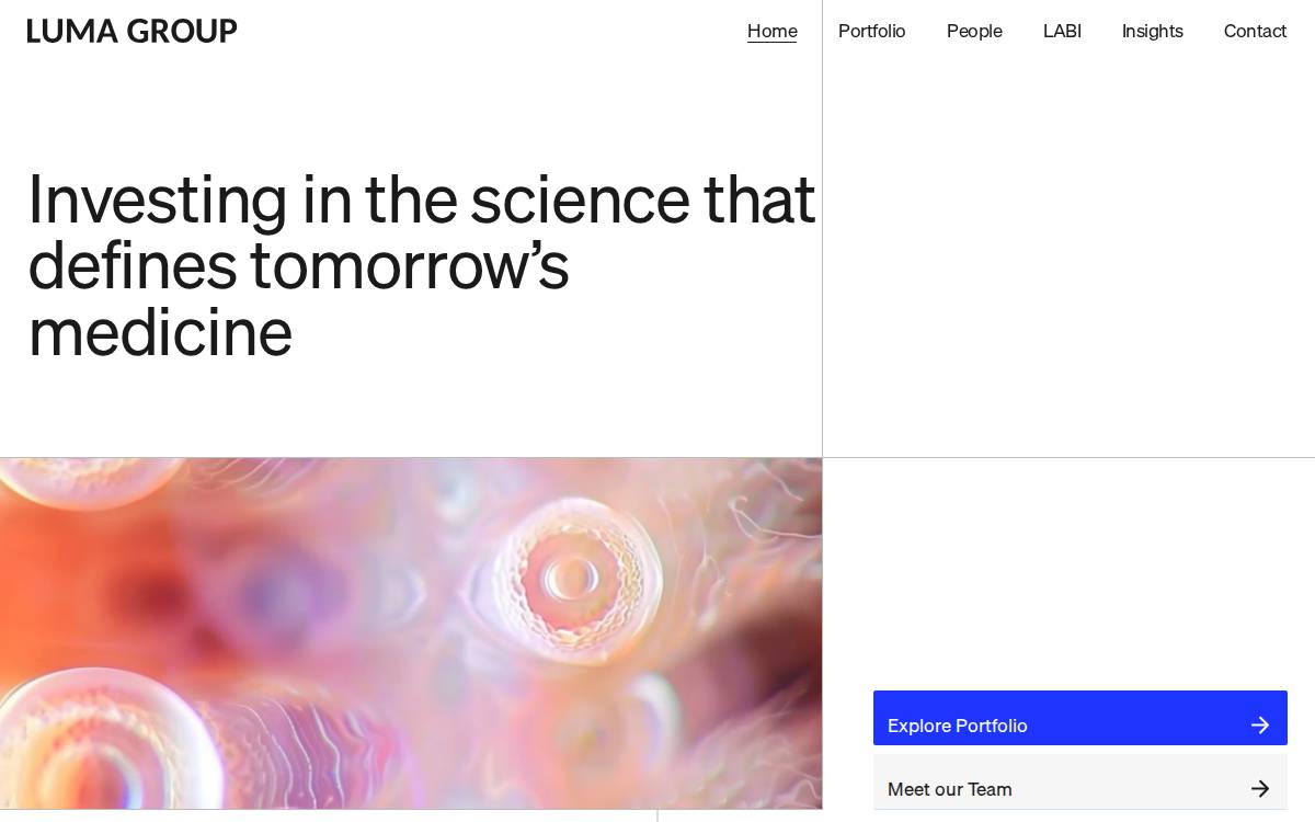 Luma Group website preview