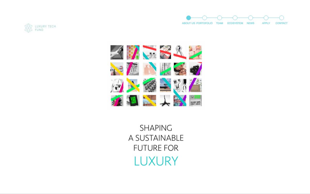 Luxury Tech Fund website preview