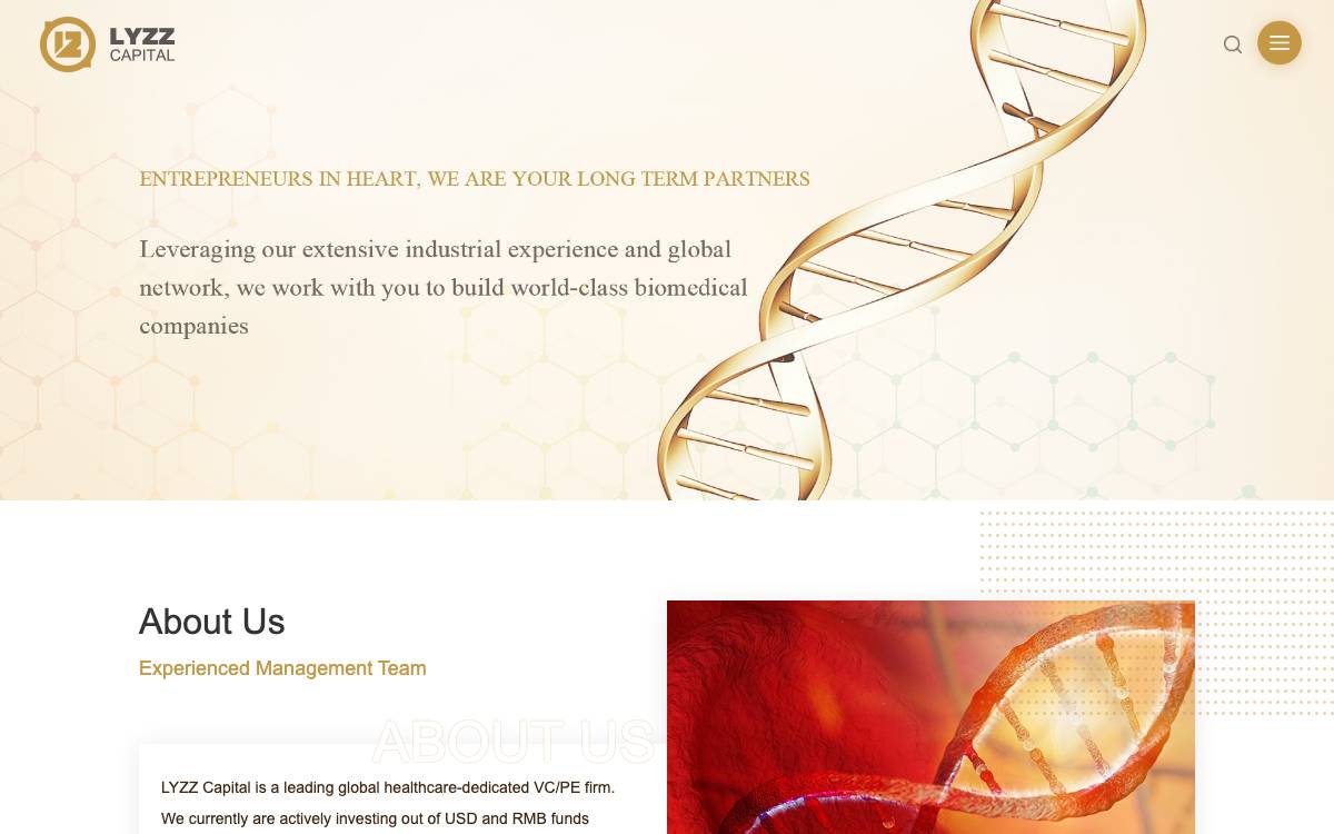 LYZZ Capital website preview