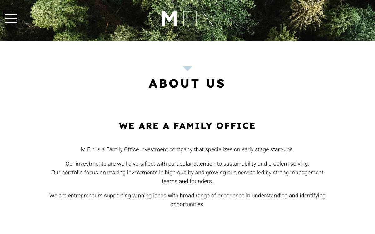 M Fin website preview