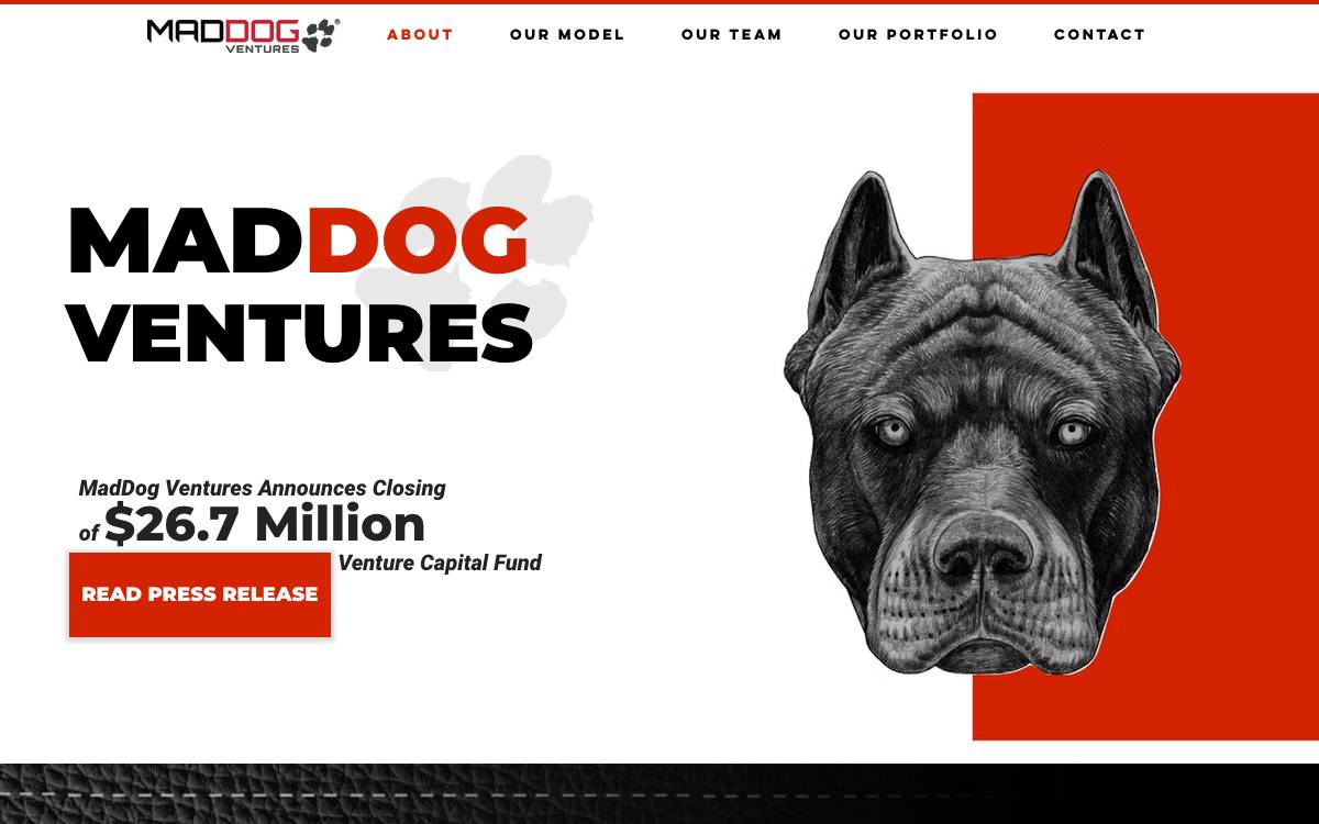 MadDog Ventures website preview