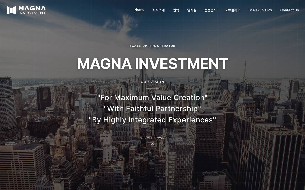 Magna Investment website preview