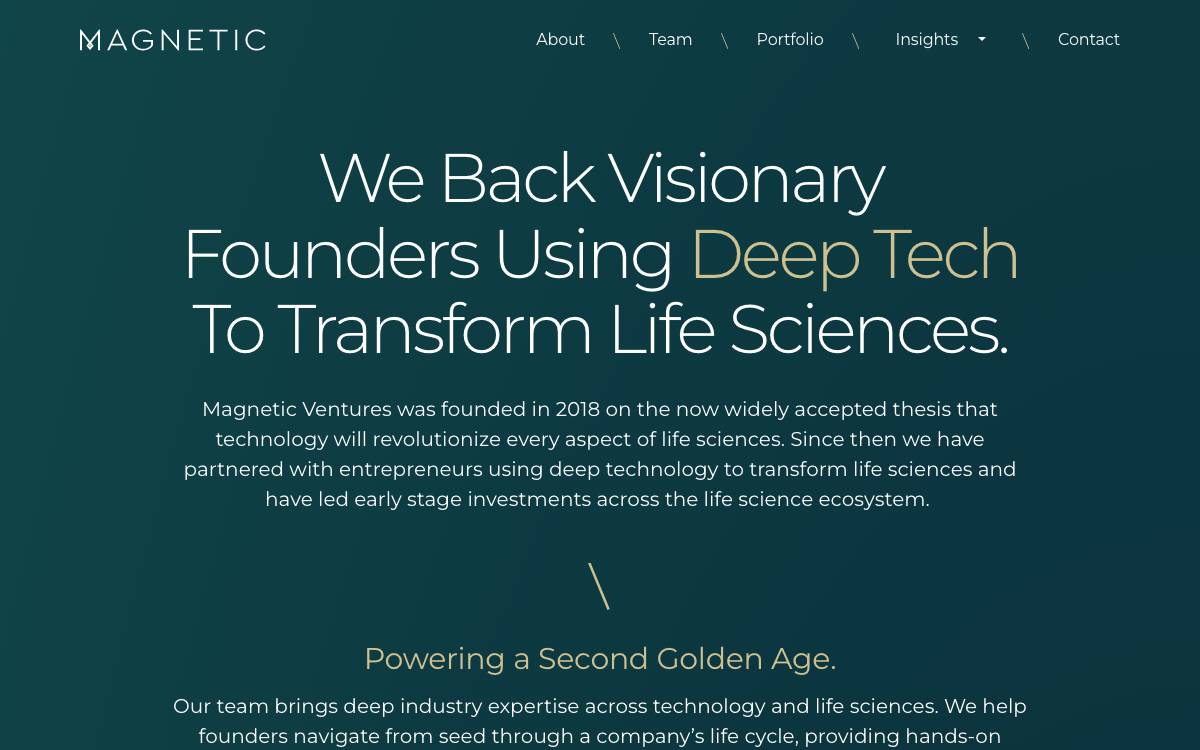 Magnetic Ventures website preview