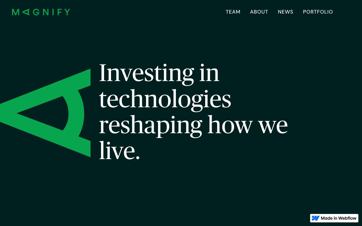 Magnify Ventures website preview
