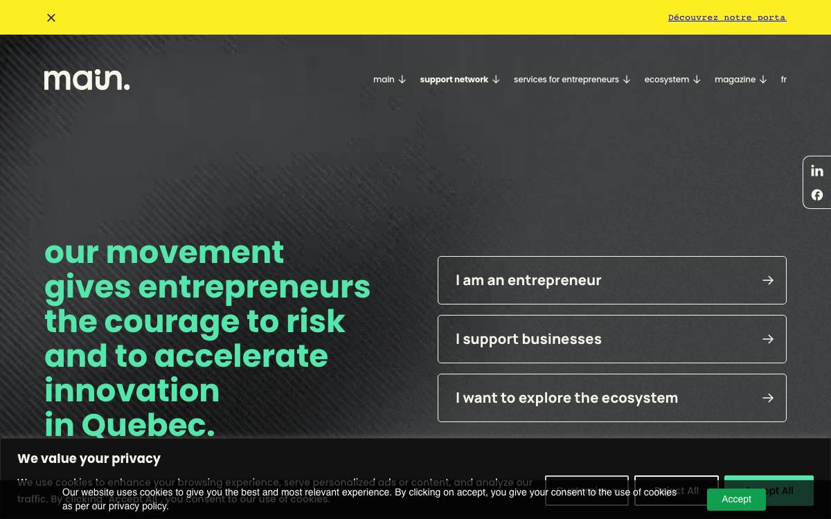 MAIN website preview