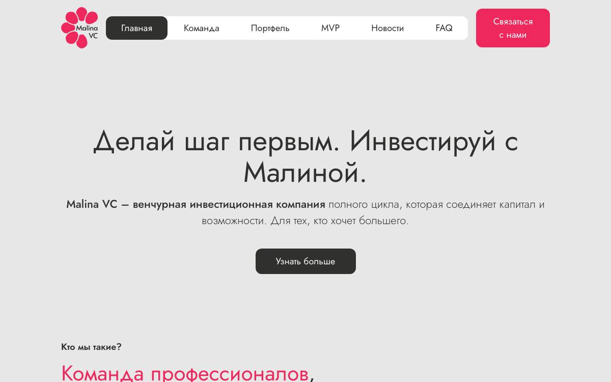 Malina VC (Malina Ventures) website preview