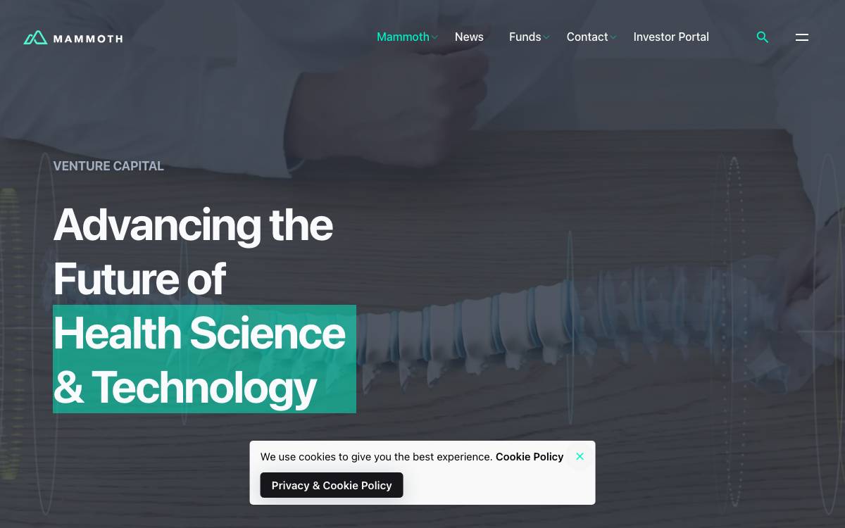 Mammoth Research website preview