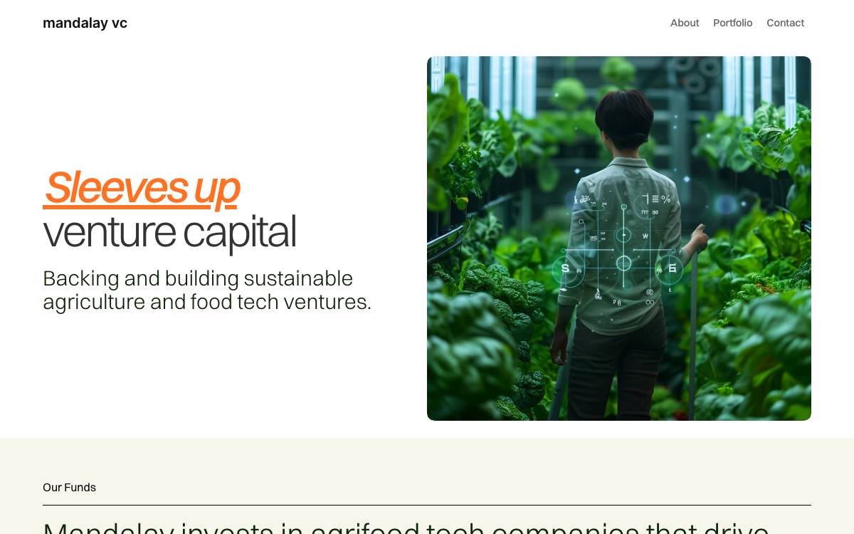 Mandalay Venture Partners website preview