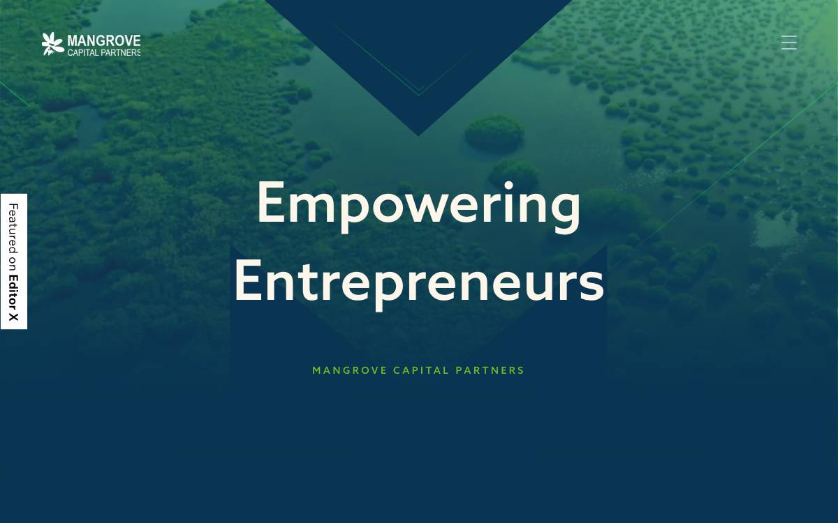 Mangrove Capital Partners website preview