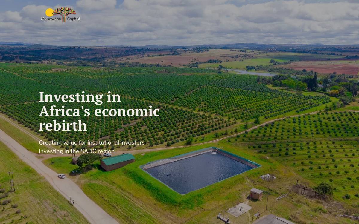 Mangwana Capital website preview