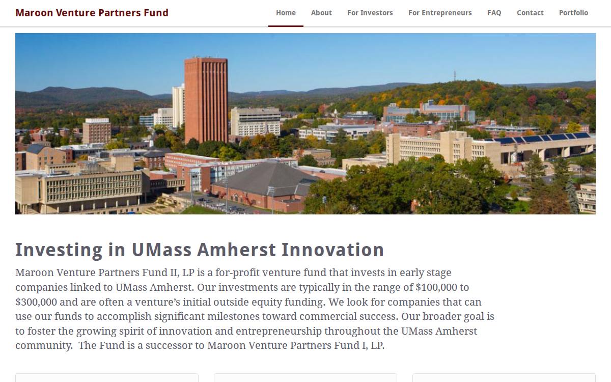 Maroon Venture Partners Fund website preview