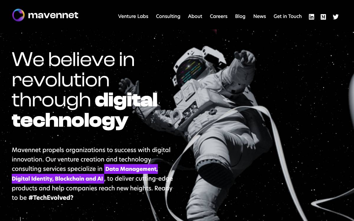 Mavennet website preview