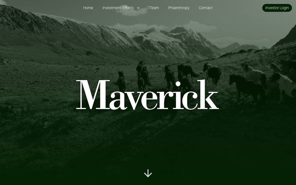 Maverick Capital website preview