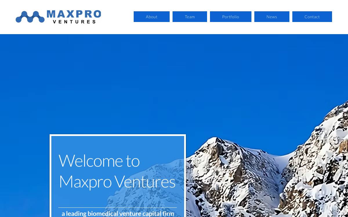Maxpro Ventures website preview