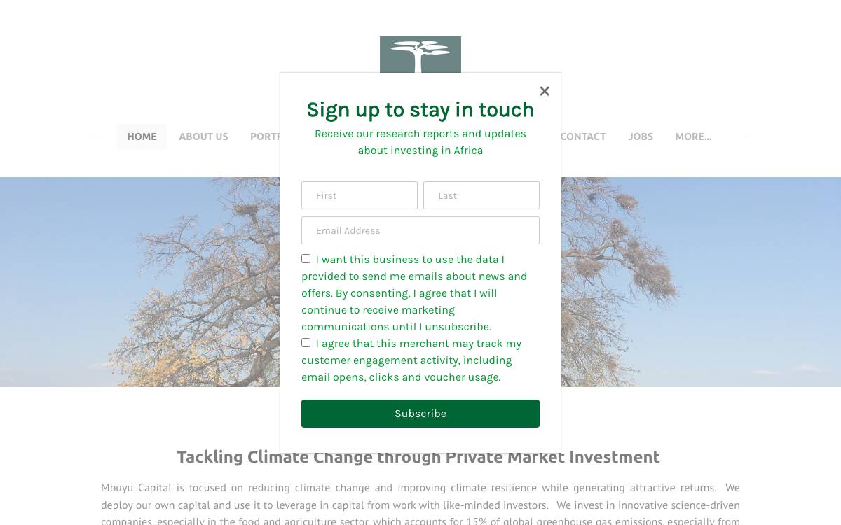 Mbuyu Capital Partners website preview