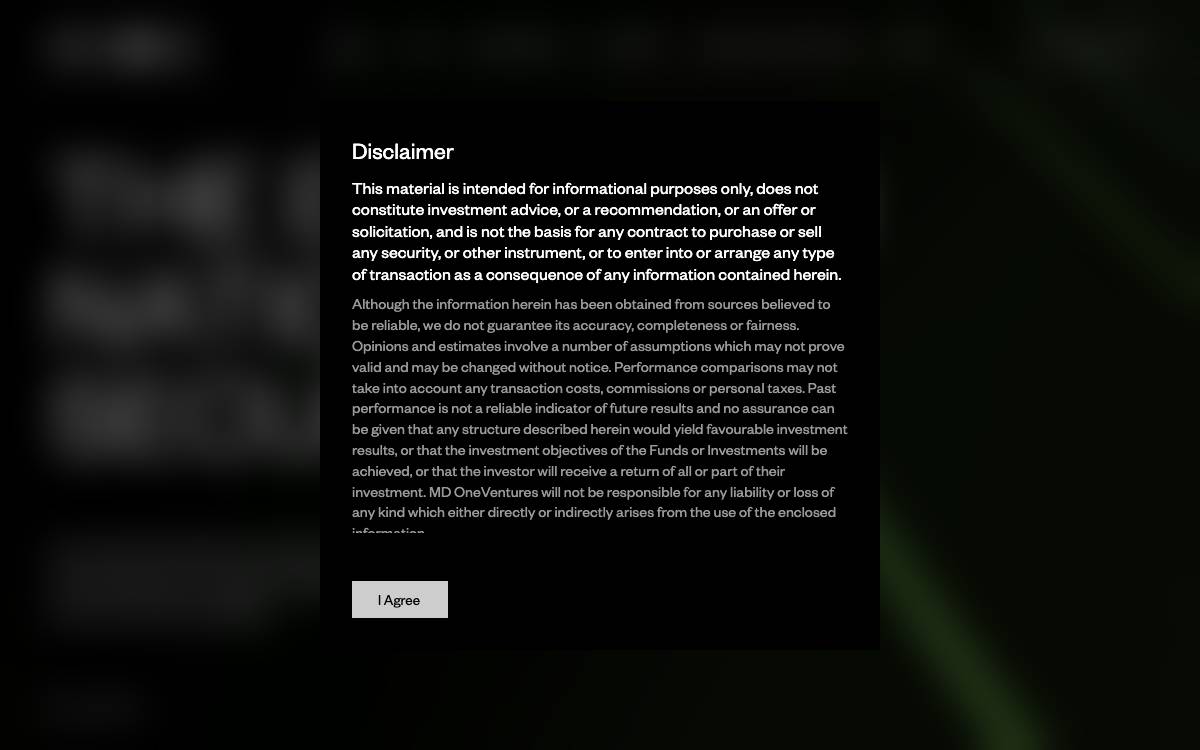 MD One Ventures website preview