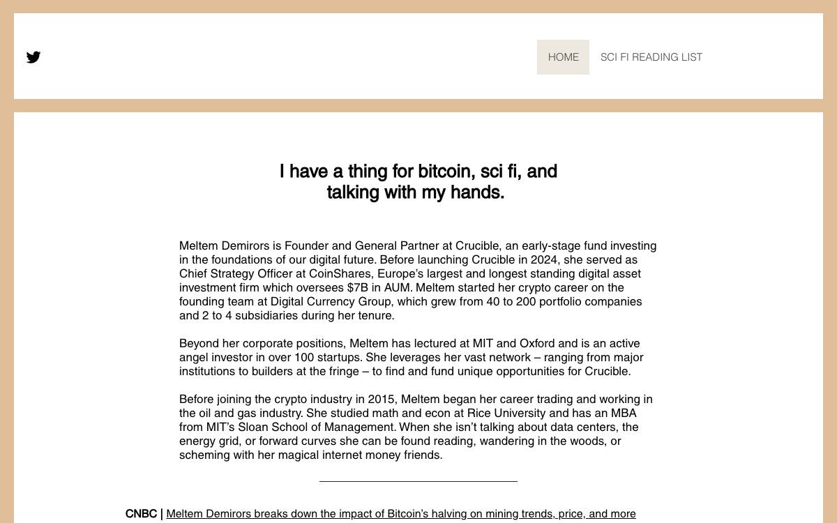 Meltem Demirors website preview