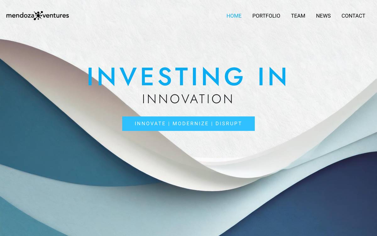 Mendoza Ventures website preview