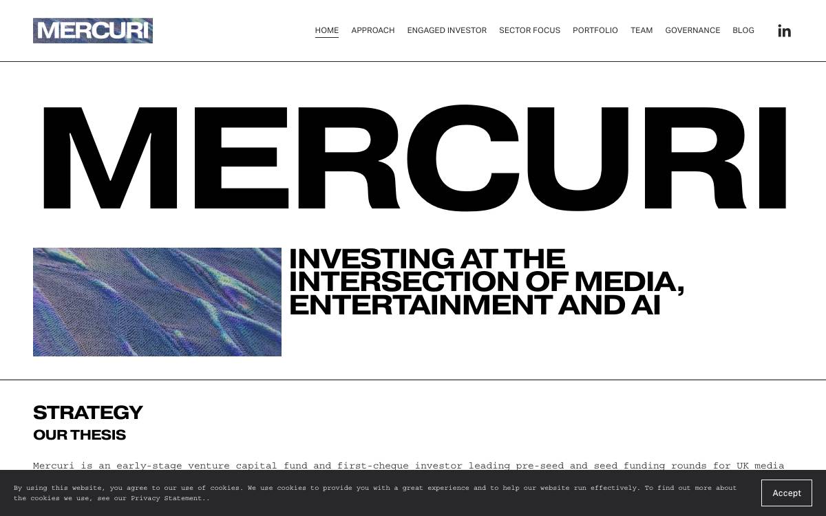 Mercuri.vc website preview