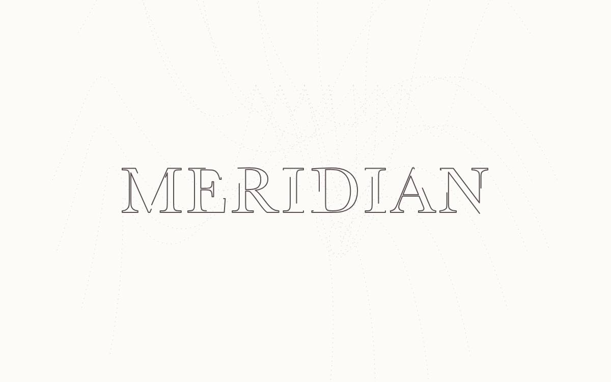 Meridian Ventures website preview