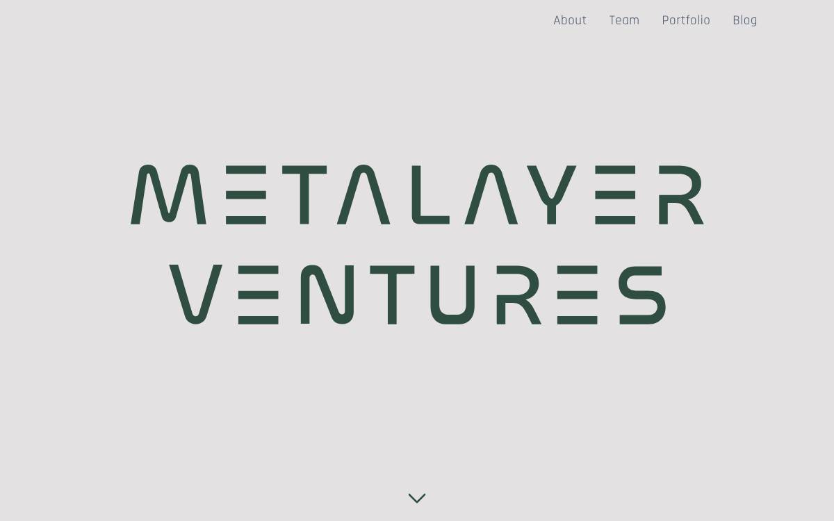 Metalayer website preview