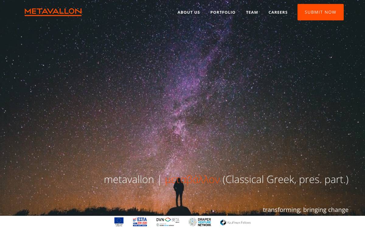 Metavallon VC website preview