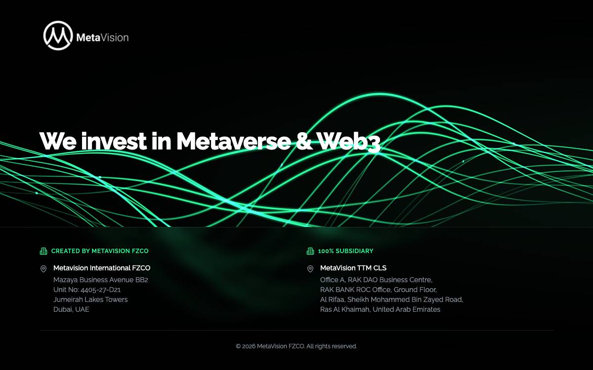 Metavision website preview