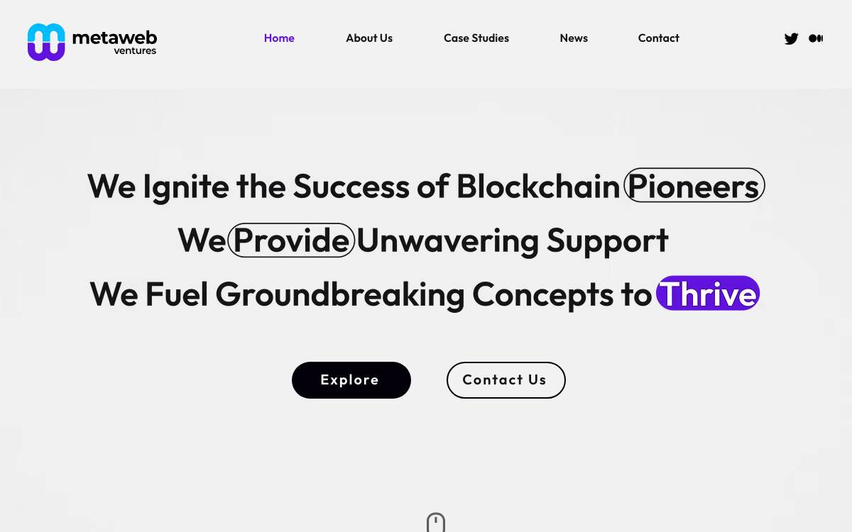 MetaWeb Ventures website preview