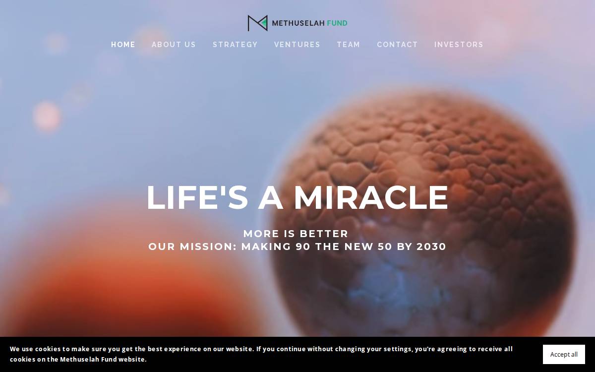 Methuselah Funds website preview