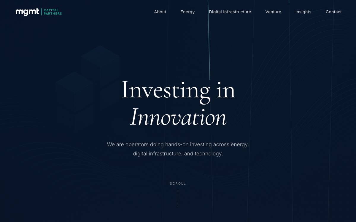 MGMT Ventures website preview